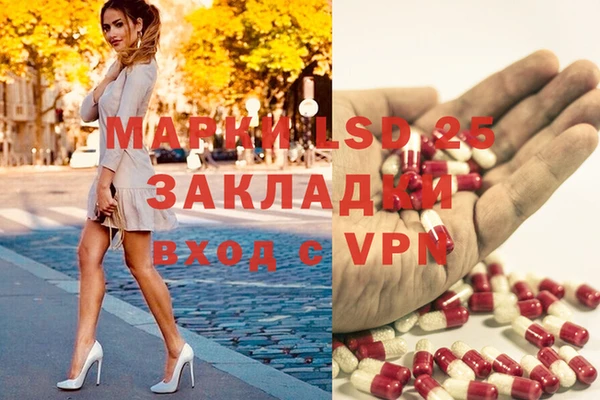 амф Валдай