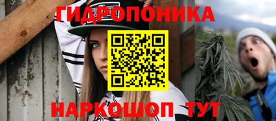 ECSTASY Заводоуковск